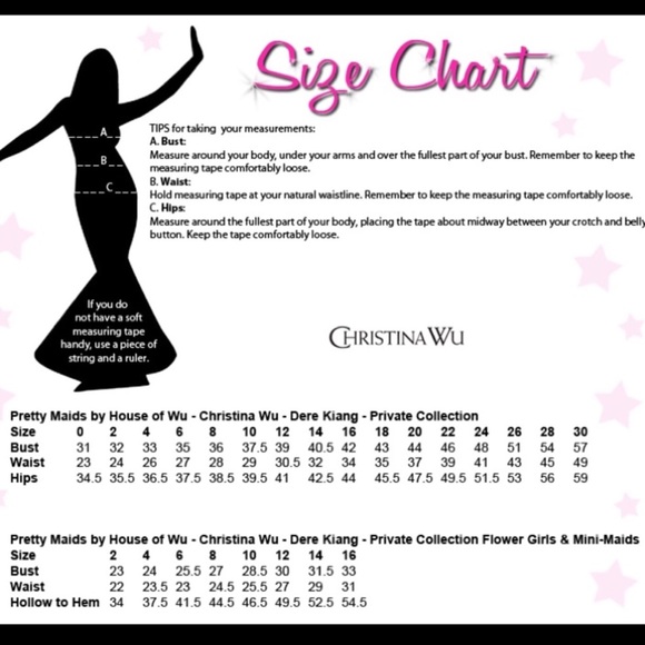 Christina Wu Blush Pink Chiffon Dress Size 14! - Picture 2 of 5